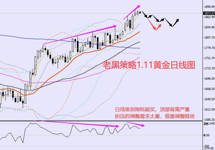 老黑策略：1.11外汇、黄金、原油分析策略
