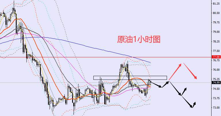 老黑策略：1.10晚盘外汇、黄金、原油分析策略
