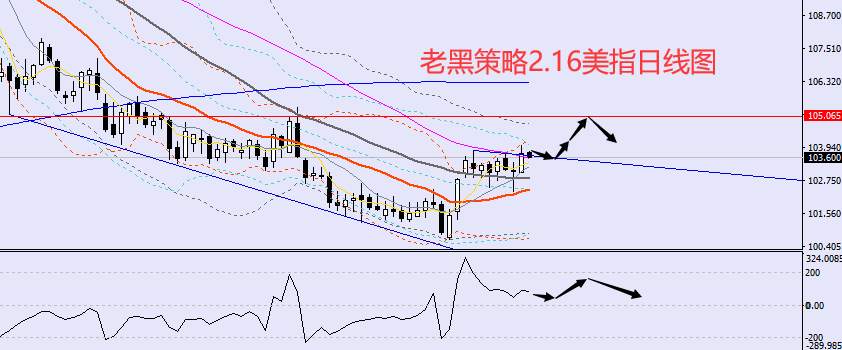 老黑策略：​2.16外汇、黄金、原油分析策略