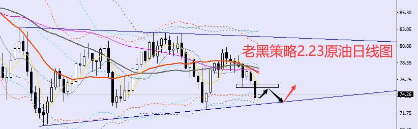 老黑策略：​2.23外汇、黄金、原油分析策略
