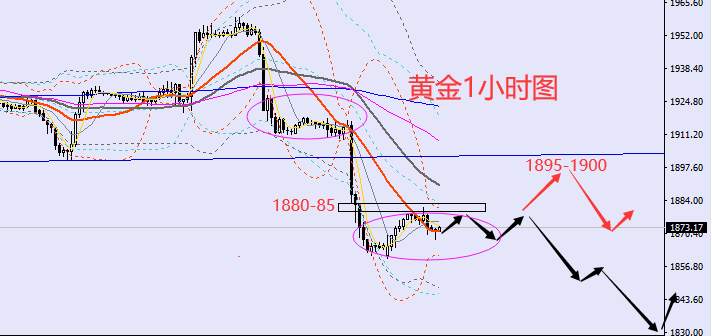 老黑策略：2.6晚盘外汇、黄金、原油分析策略