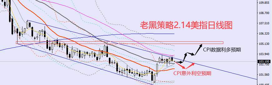 老黑策略：2.14外汇、黄金、原油分析策略