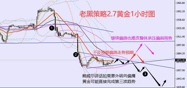 老黑策略：2.7外汇、黄金、原油分析策略