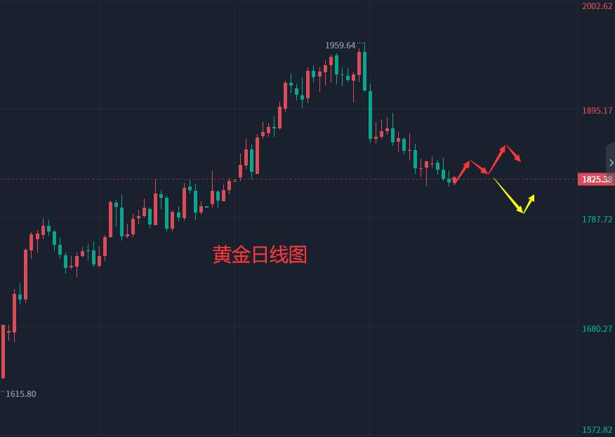 张轩昊：2.24外汇、黄金、原油分析策略