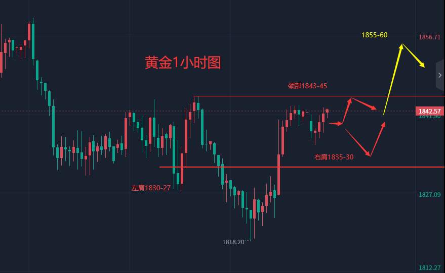张轩昊：2.20外汇、黄金、原油分析策略