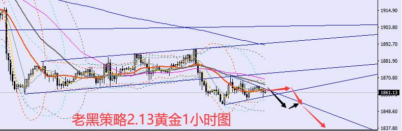 老黑策略：2.13外汇、黄金、原油分析策略