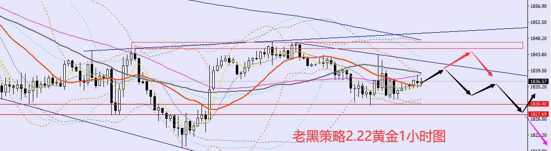 老黑策略：2.22外汇、黄金、原油分析策略