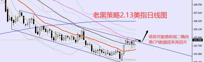老黑策略：2.13外汇、黄金、原油分析策略
