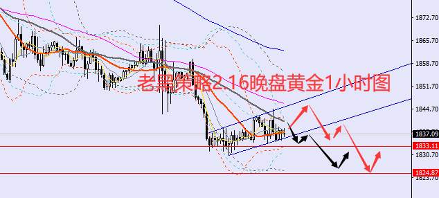 老黑策略：2.16晚盘外汇、黄金、原油分析策略