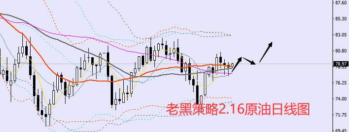 老黑策略：​2.16外汇、黄金、原油分析策略