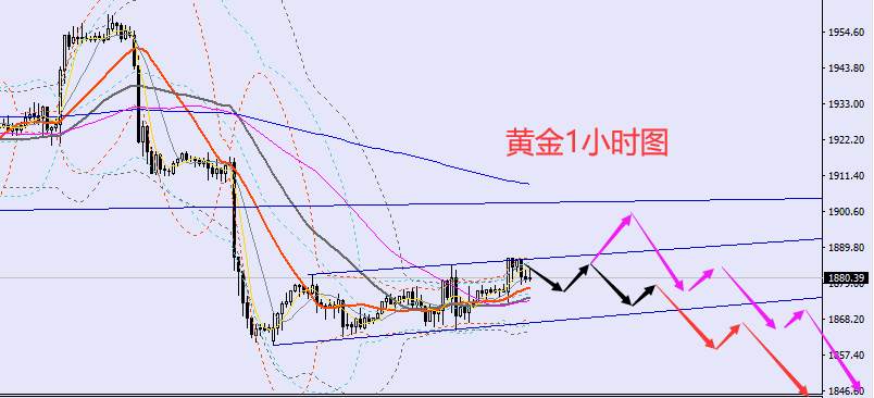 老黑策略：2.8晚盘外汇、黄金、原油分析策略