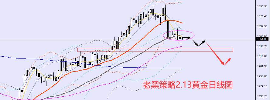 老黑策略：2.13外汇、黄金、原油分析策略