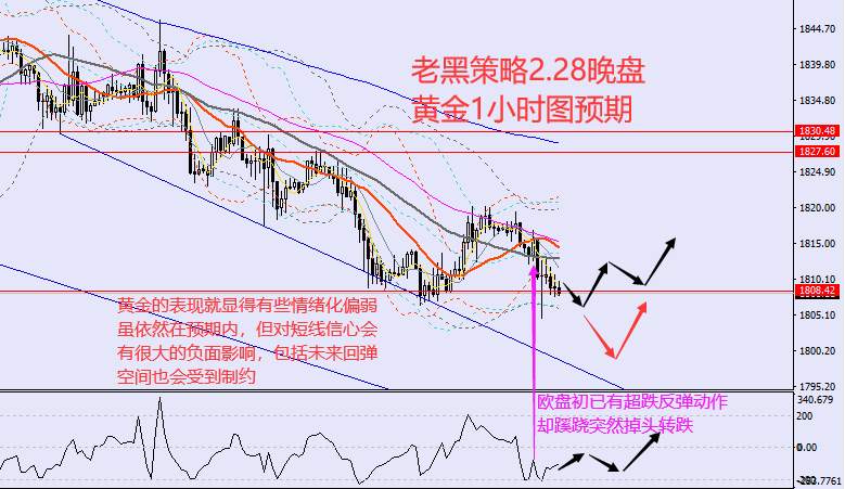 老黑策略：2.28晚盘外汇、黄金、原油分析策略