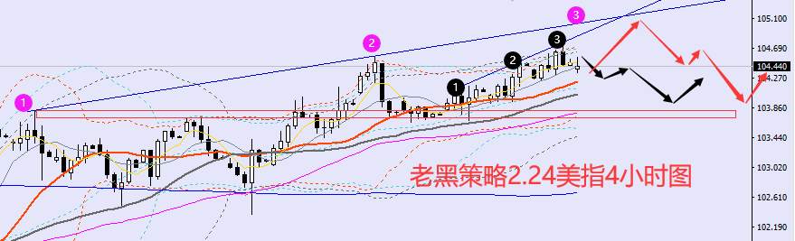 老黑策略：2.24外汇、黄金、原油分析策略