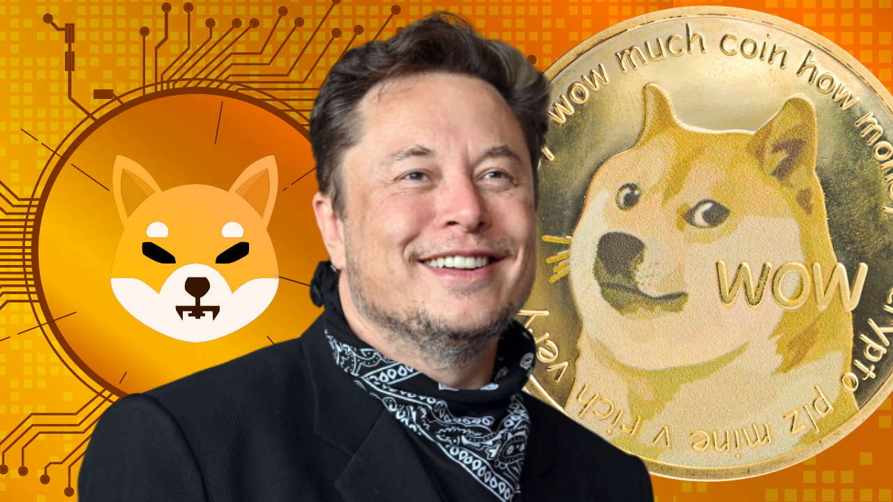 DOGE và Floki ‘dựng cột’ nhờ tweet của Elon Musk