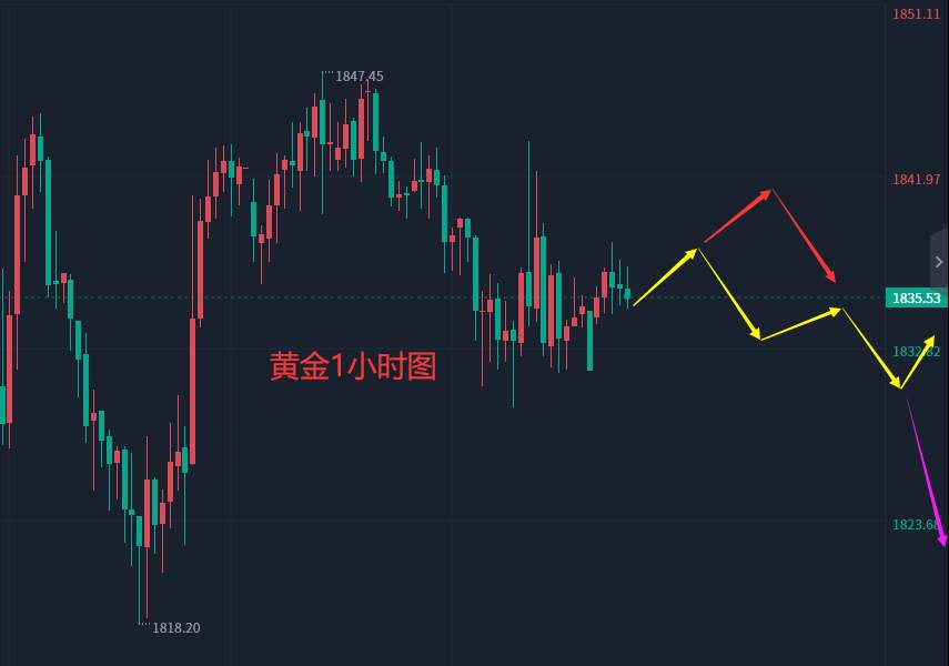 张轩昊：2.22外汇、黄金、原油分析策略