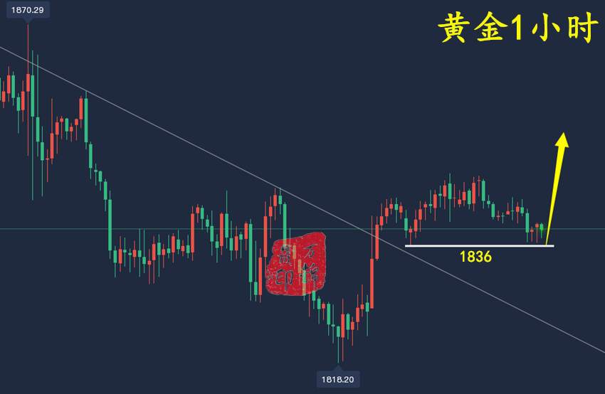 万锦晟2.21最新黄金走势分析，黄金修正仍有上升先看多！