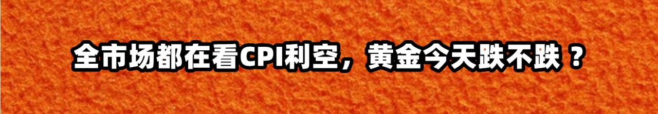 feed-image-0