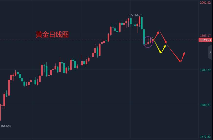 张轩昊：2.9外汇、黄金、原油分析策略