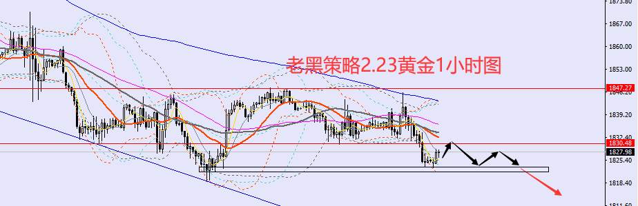 老黑策略：​2.23外汇、黄金、原油分析策略