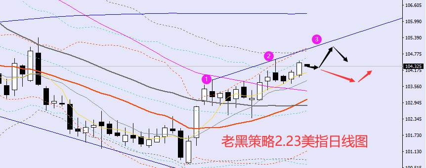 老黑策略：​2.23外汇、黄金、原油分析策略