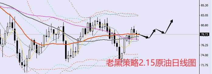 老黑策略：2.15外汇、黄金、原油分析策略