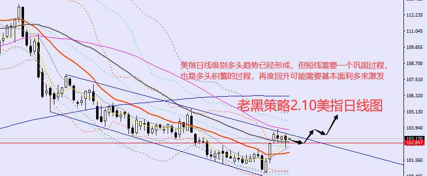 老黑策略：​2.10外汇、黄金、原油分析策略