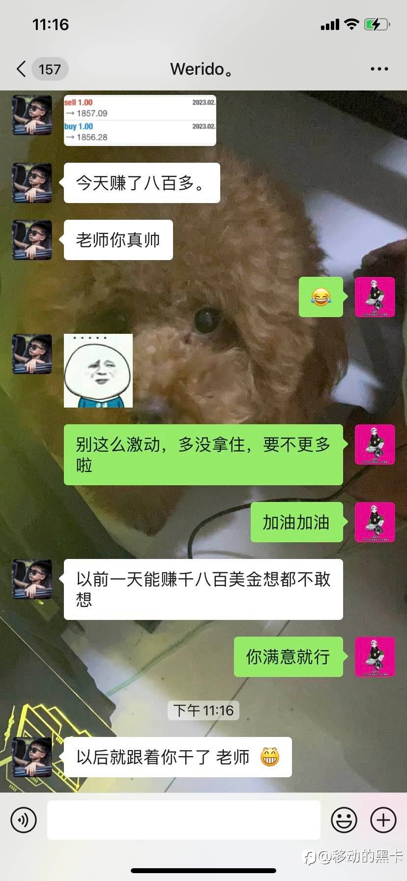 feed-image-1