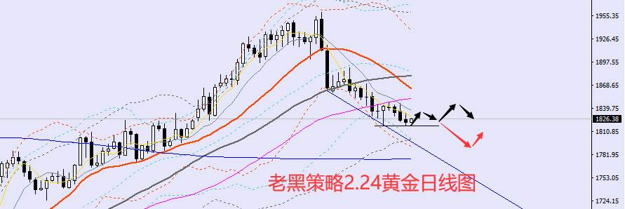 老黑策略：2.24外汇、黄金、原油分析策略