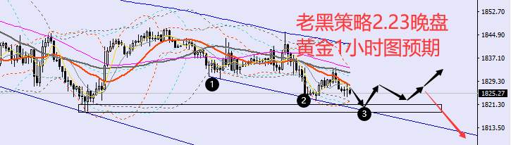 老黑策略：2.23晚盘外汇、黄金、原油分析策略