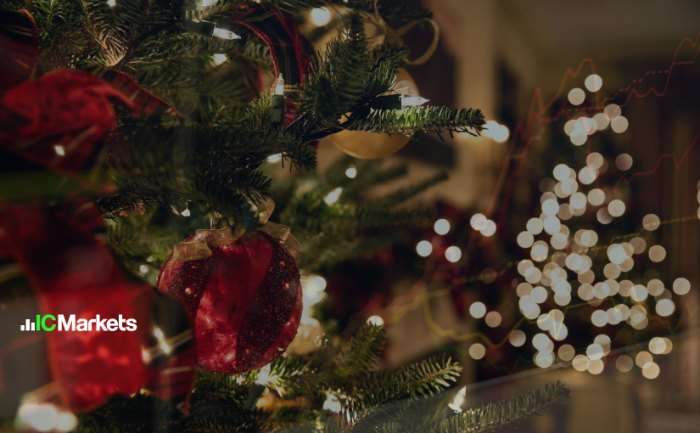 feed-image-0