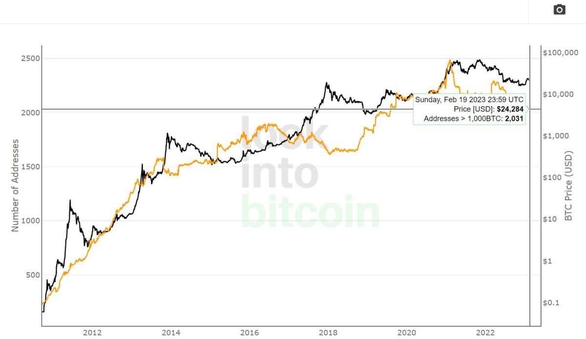 Số lượng cá voi Bitcoin giảm xuống mức thấp nhất kể từ năm 2019