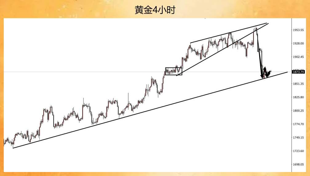 feed-image-1