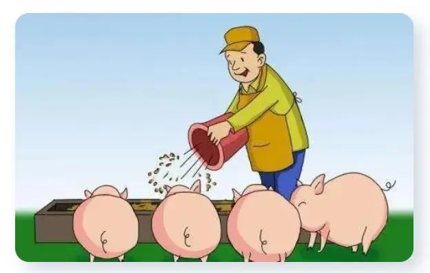 feed image