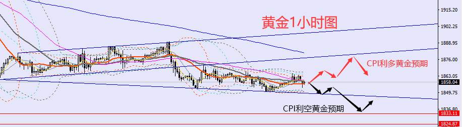 老黑策略：2.14晚盘外汇、黄金、原油分析策略