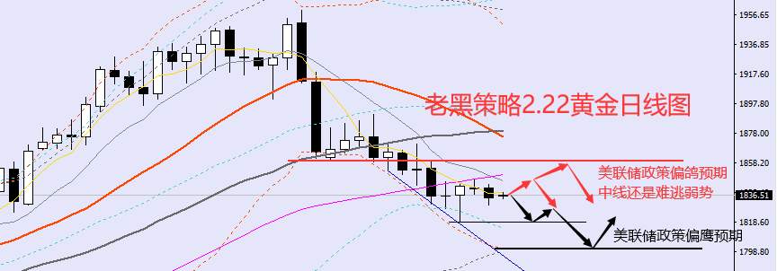 老黑策略：2.22外汇、黄金、原油分析策略