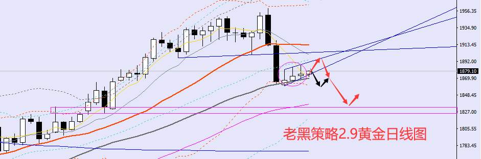 老黑策略：2.9外汇、黄金、原油分析策略