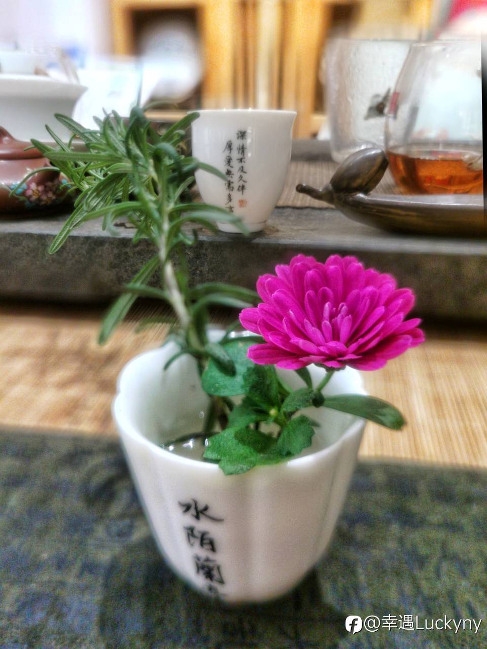 春天来了！