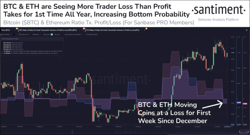 Những Điều Cần Biết Về Bitcoin Tuần Này