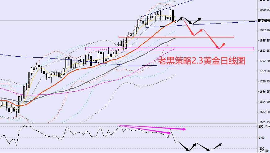 老黑策略：2.3外汇、黄金、原油分析策略