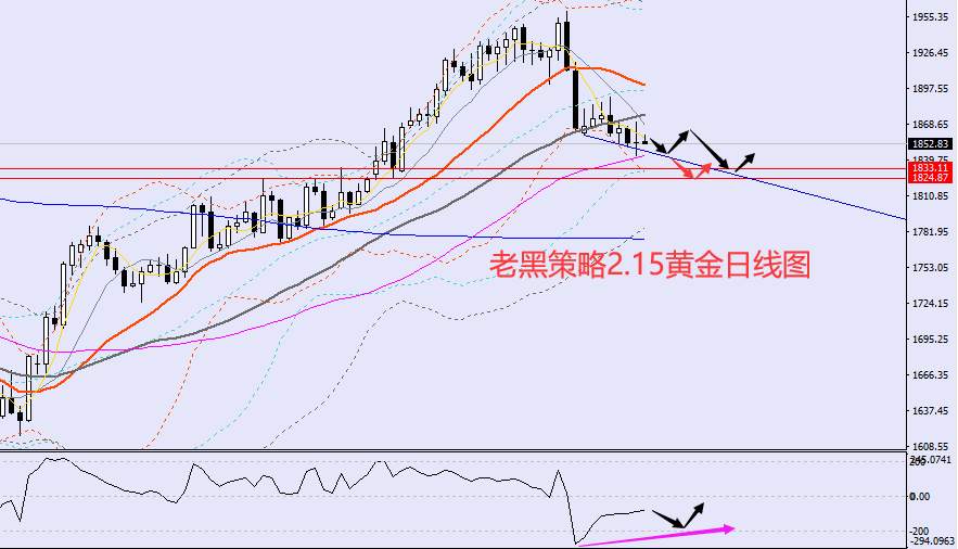老黑策略：2.15外汇、黄金、原油分析策略