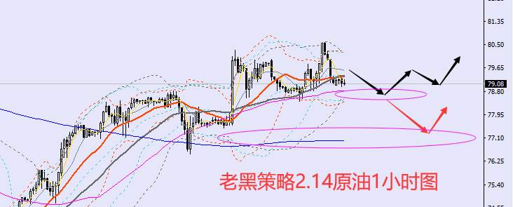 老黑策略：2.14外汇、黄金、原油分析策略