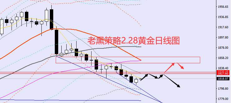 老黑策略：​2.28外汇、黄金、原油分析策略
