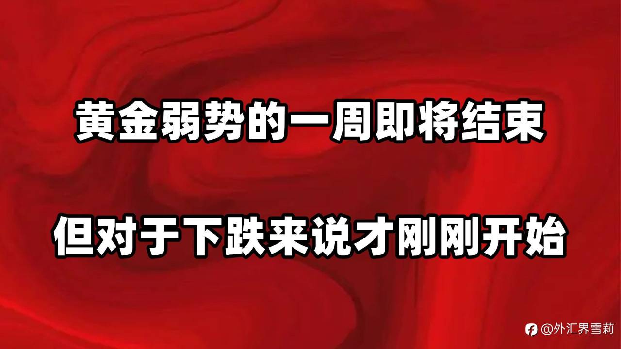 feed-image-0