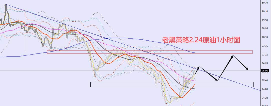 老黑策略：2.24外汇、黄金、原油分析策略