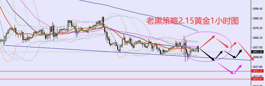 老黑策略：2.15外汇、黄金、原油分析策略