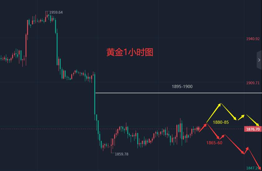 张轩昊：2.8外汇、黄金、原油分析策略