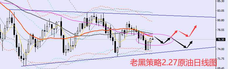 老黑策略：2.27外汇、黄金、原油分析策略