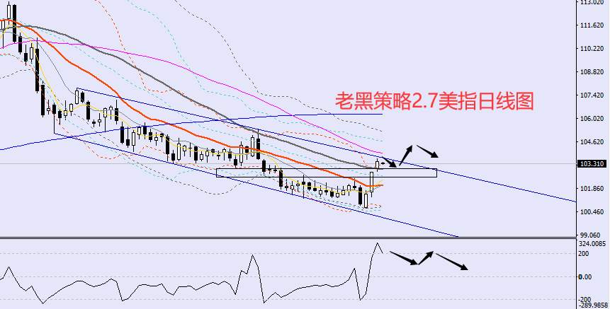 老黑策略：2.7外汇、黄金、原油分析策略