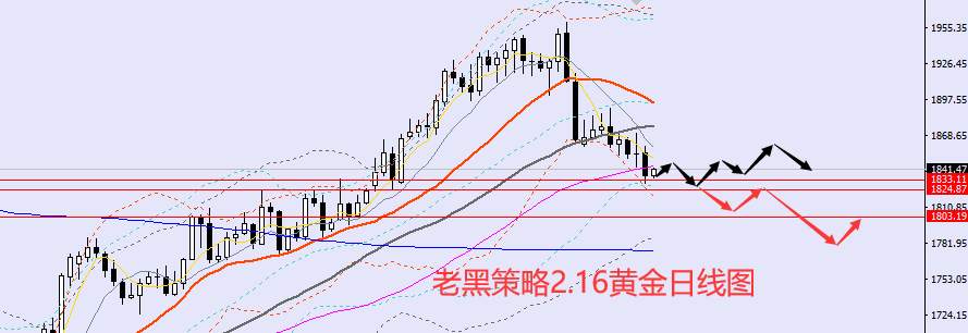 老黑策略：​2.16外汇、黄金、原油分析策略